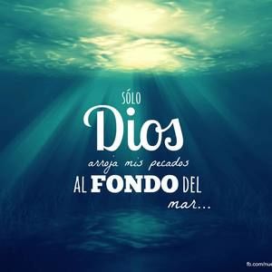 Meet your Posher, Antonia